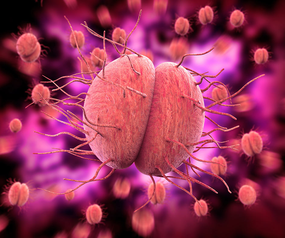 How long will it take for gonorrhoea treatment to be effective