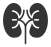 Kidney Function Tests London